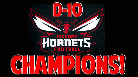 D10 Champions Banner