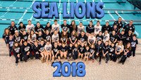 2018 YMCA Swimming